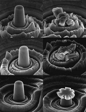 Fine-grained microstructure could toughen protective coatings