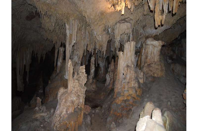 Fire clues in cave dripwater