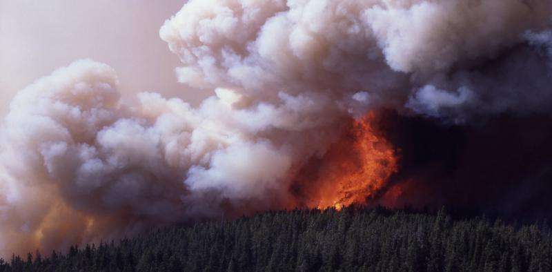 Firestorms: the bushfire/thunderstorm hybrids we urgently need to understand