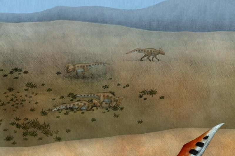 First demonstration of sexual selection in dinosaurs identified