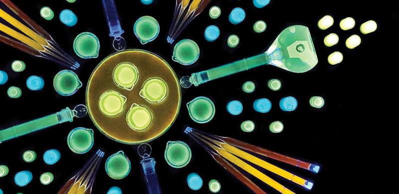First single-enzyme method to produce quantum dots revealed