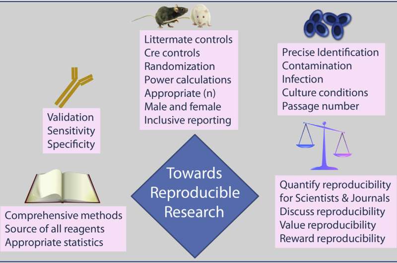 Five ways to tackle the reproducibility crisis in biomedical research