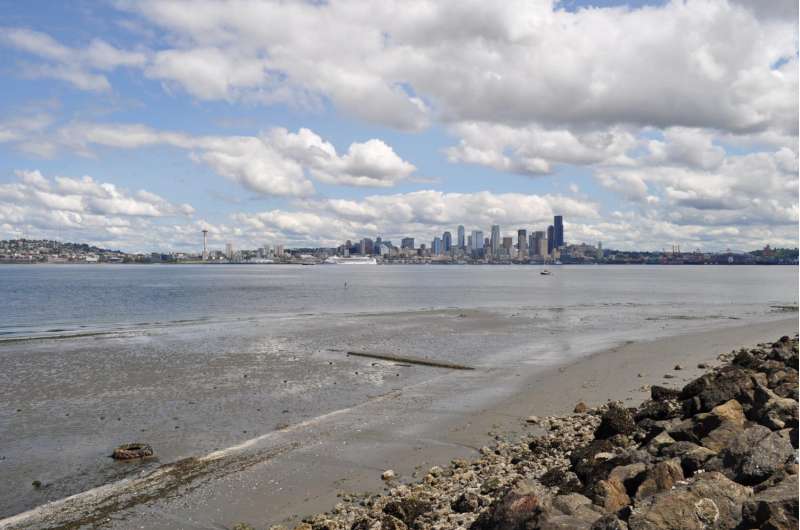 Floating DNA reveals urban shorelines support more animal life