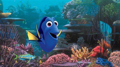 Florida project breeds 'Finding Dory' fish in captivity