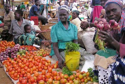 Food available to African farmers increases with market access and off-farm opportunities