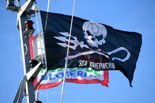 For almost four decades, Sea Shepherd has fought to &quot;defend, conserve and protect&quot; marine life in the vast expanses of