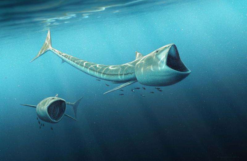 Fossil discovery: Extraordinary 'big-mouthed' fish from Cretaceous Period
