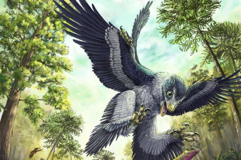 Fossil teeth suggest that seeds saved bird ancestors from extinction