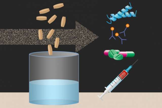 Freeze-dried cellular components can be rehydrated to churn out useful proteins