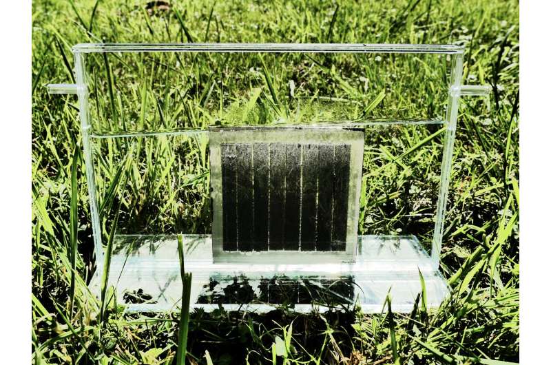 From leaf to tree: Large-scale artificial photosynthesis