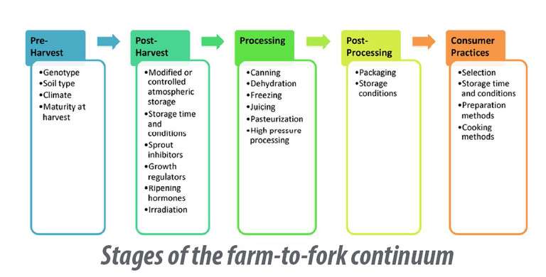 Fruits, vegetables, 'farm-to-fork continuum' vital to cancer prevention
