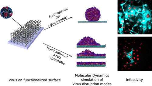 Functionalized surfaces with tailored wettability determine Influenza A infectivity