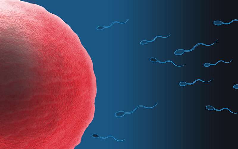 Future of sperm donor anonymity threatened by growth of genetic testing