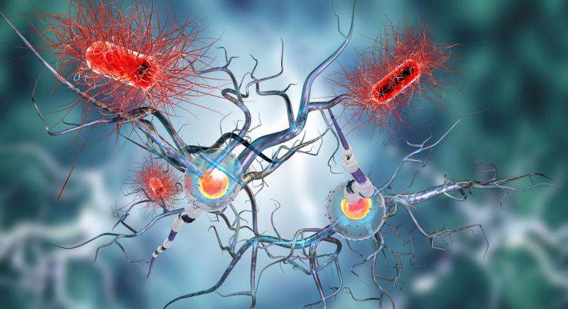 Genetic clue to how patients respond to treatment for Parkinson’s Disease