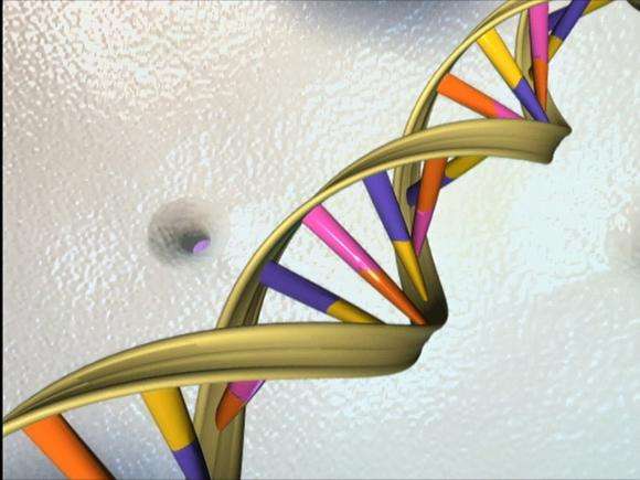 Genome editing: US could apply UK's approach to evaluate safety, ethics