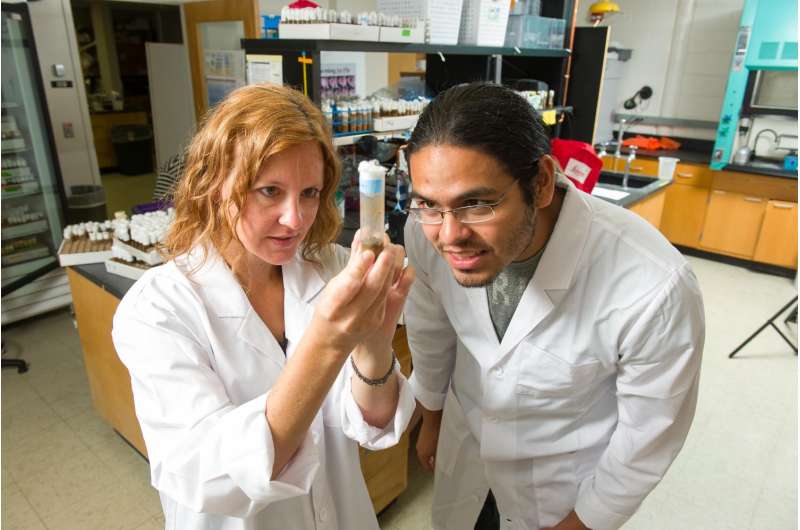 Get a clue: Biochemist studies fruit fly to understand Parkinson's disease, muscle wasting