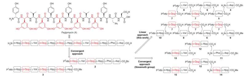 Going with the flow: Facile synthesis of a complex biologically active oligopeptide