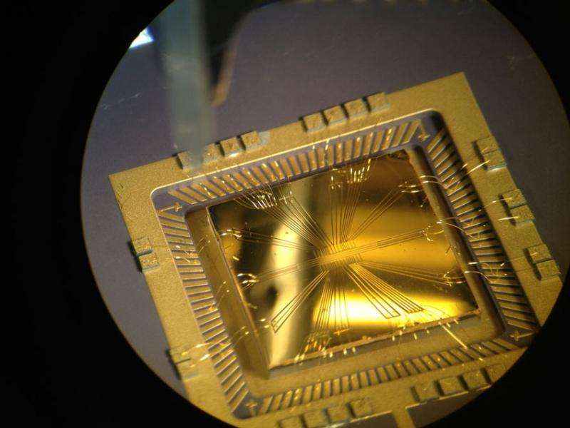 Gold chip ion-trap captures Science Photography Competition's top prize