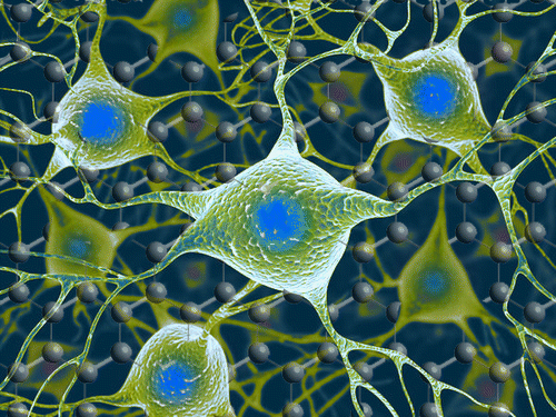 Graphene shown to safely interact with neurons in the brain