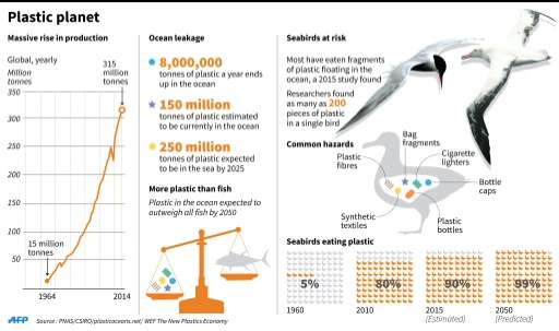 Graphic on plastic production and waste, and seabirds at risk due to floating plastic in the world's seas