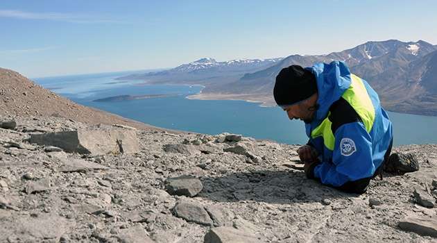 Greenland Fossils Reveal Global Ecosystem Recovery After Mass Extinction