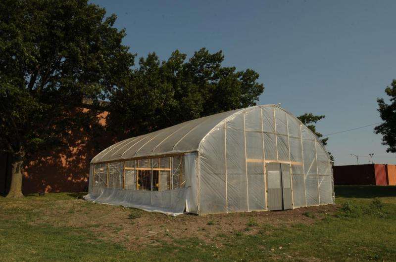 Growing produce in high tunnels reduces losses, extends shelf life