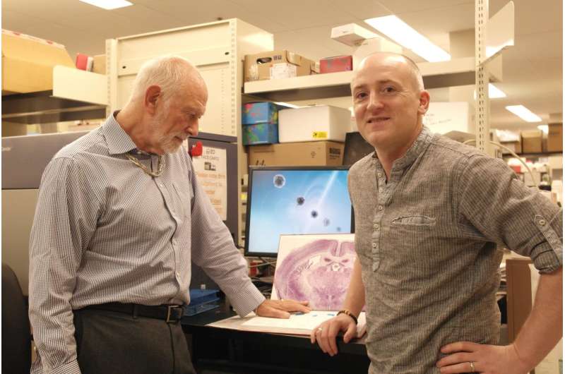 Gut feeling: ONR research examines link between stomach bacteria, PTSD