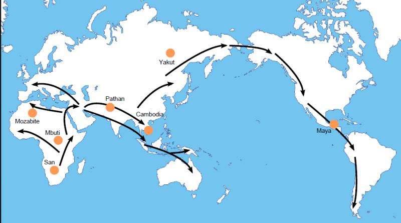 Harmful mutations have accumulated during early human migrations out of Africa