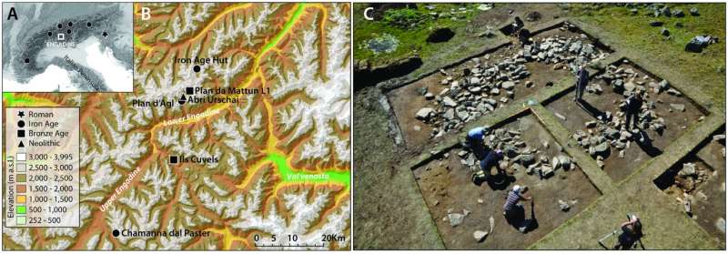 High alpine dairying may have begun over 3000 years ago