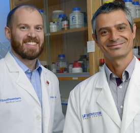HIV protein manipulates 100s of genes to advance progression into AIDS, UTSW study shows