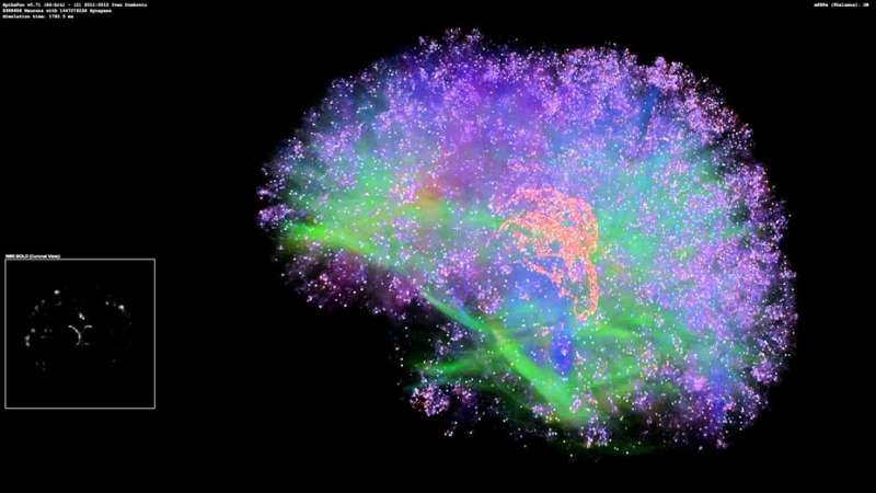 How the hidden mathematics of living cells could help us decipher the brain