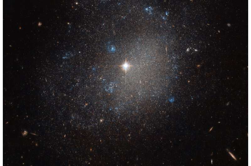 Hubble chases a small stellar galaxy in the Hunting Dog