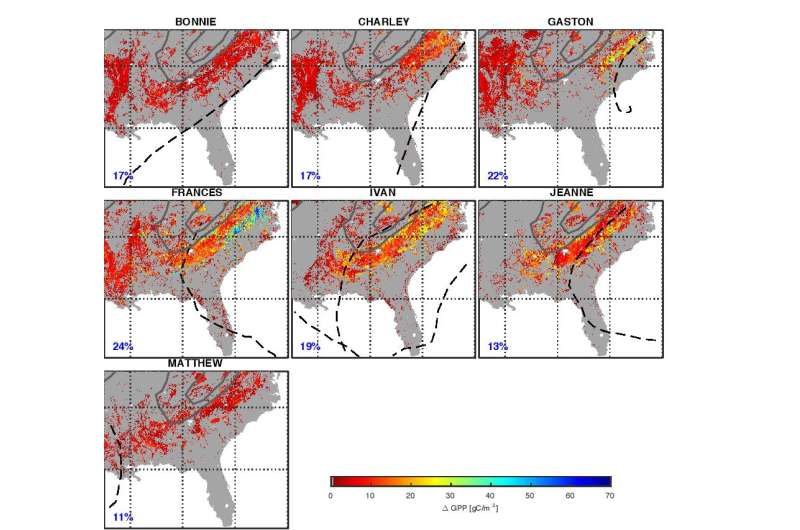 Hurricanes key to carbon uptake by forests