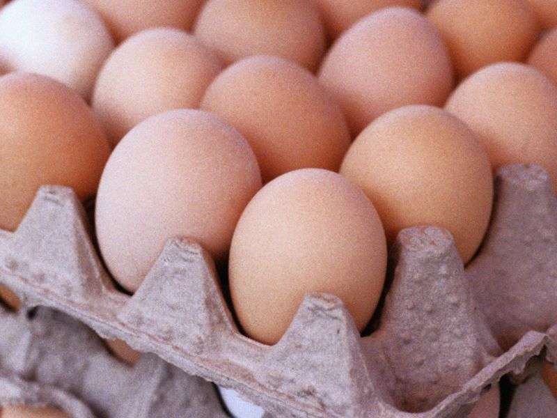 Hydrolyzed egg preparation safe for egg-allergic children