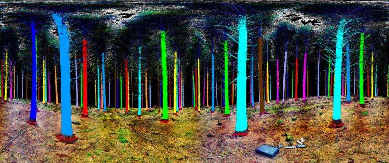 Image: Treemetrics woodland laser scan
