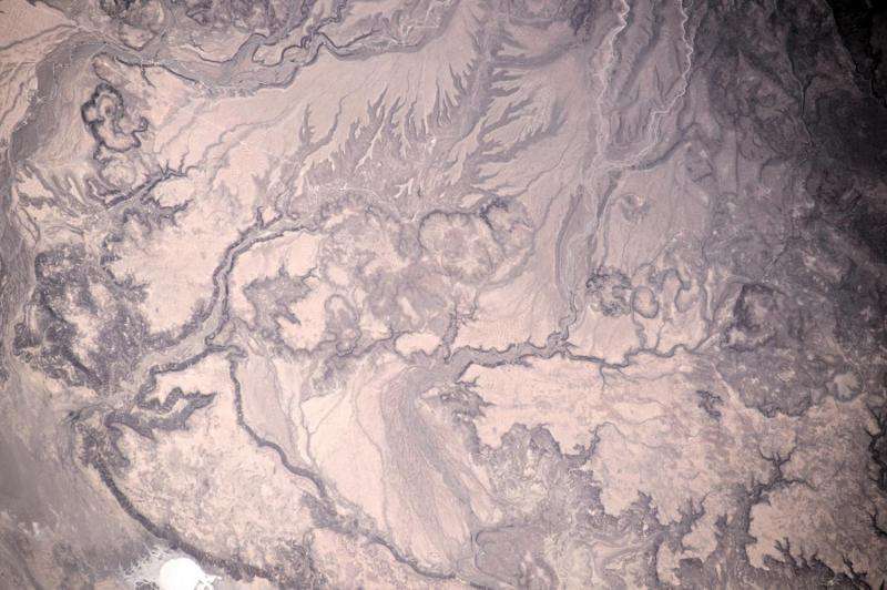 Image: Water etchings in Western Mexico sands
