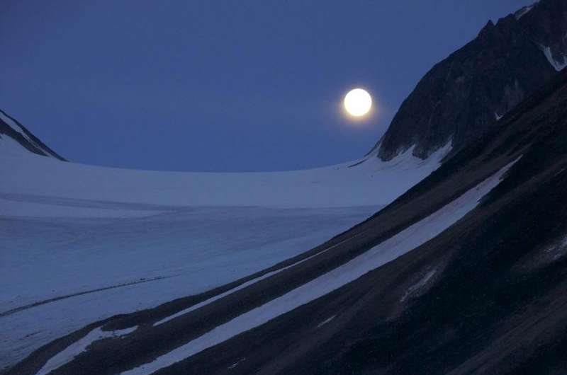 In Arctic winter, marine creatures migrate by the light of the moon
