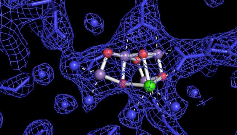 Increased knowledge on how plants form oxygen from water molecules