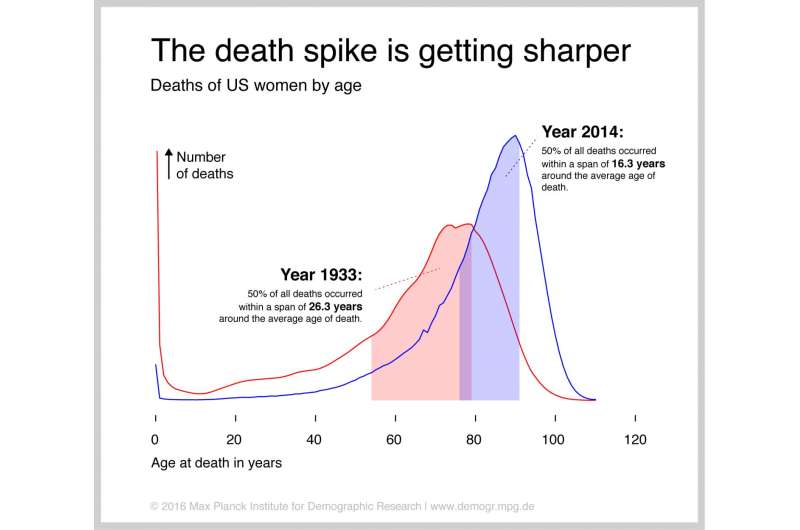 Individual lifespans are becoming more similar