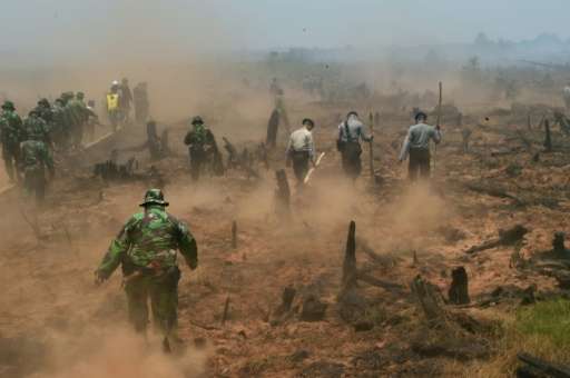 Indonesian firefighters backed by police and military troops fight fires in Southern Kalimantan province on Borneo island on Sep