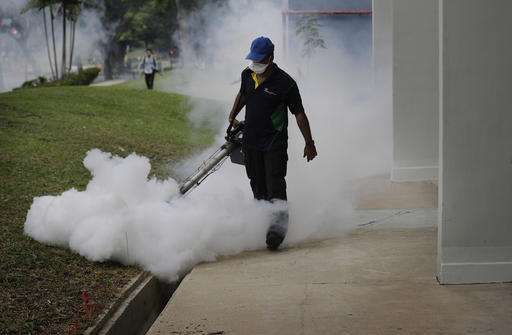 Indonesia screens for Zika as Singapore infections mount