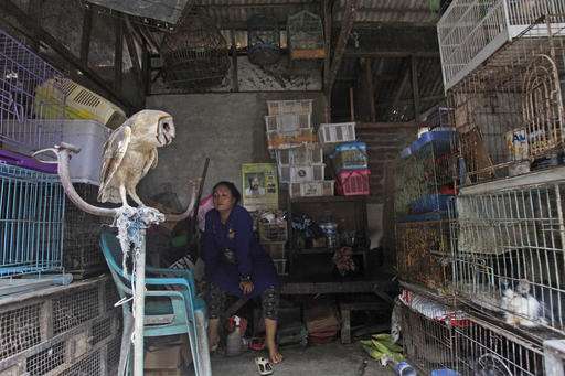Indonesia urged to take stern action on illegal bird trade