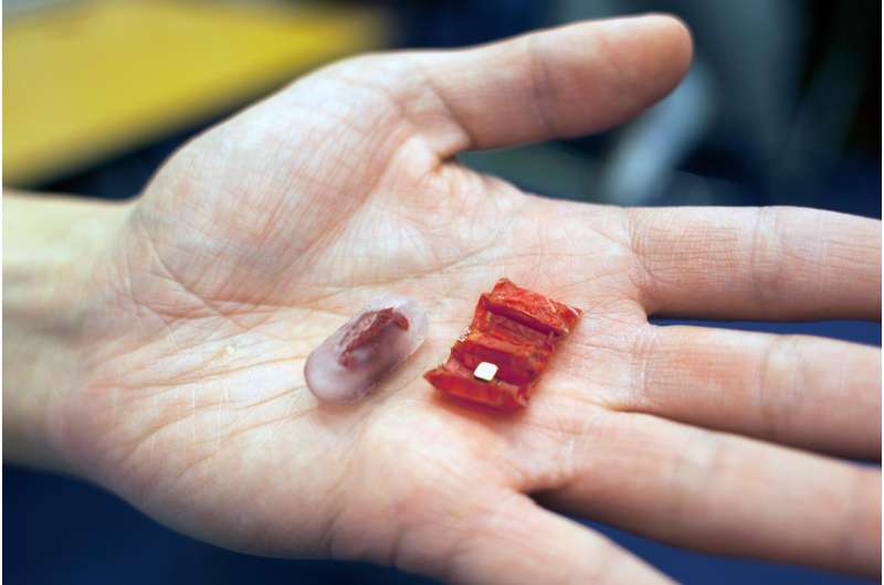 Ingestible robot operates in simulated stomach