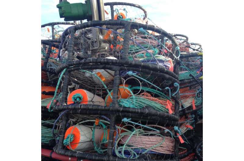 Injuries among Dungeness crab fishermen examined in new OSU study