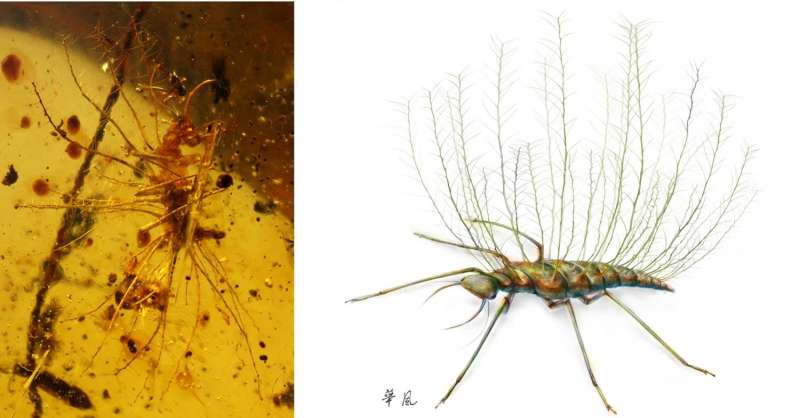 Insects were already using camouflage 100 million years ago