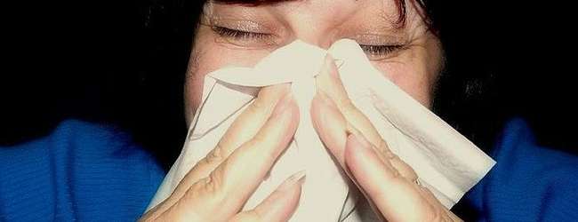 Interferon shows promise as flu therapy