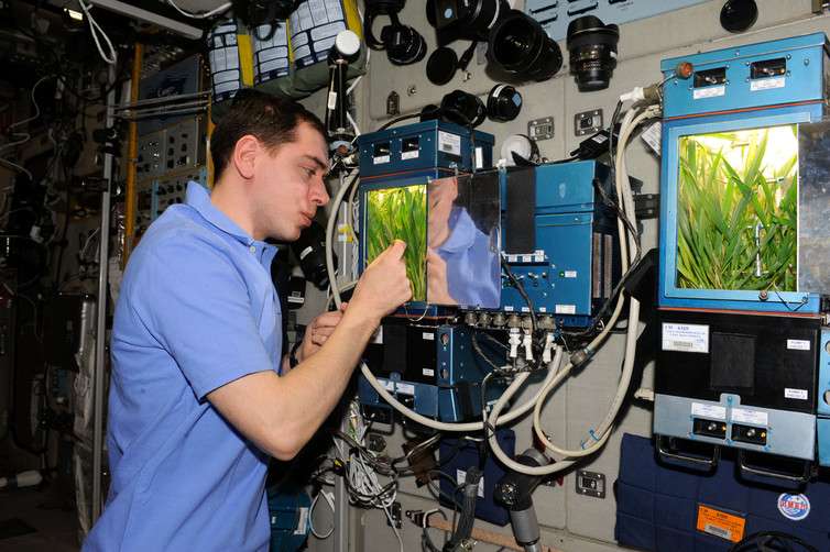 Interstellar greenhouses: how a single molecule could be key to growing plants in microgravity