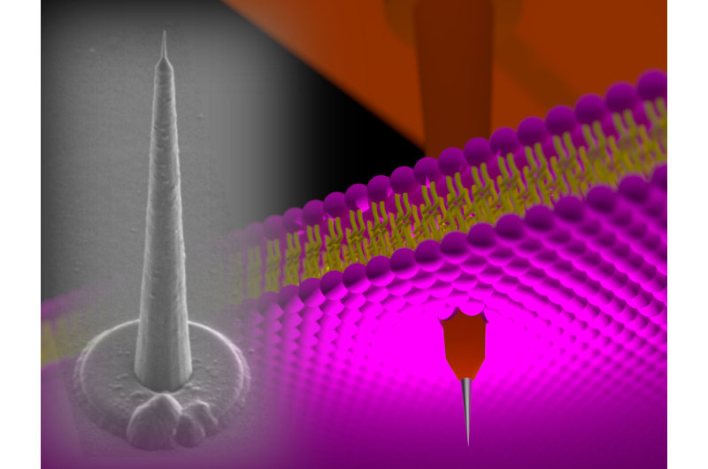 Intracellular recordings using nanotower electrodes