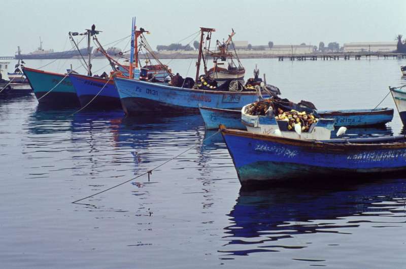 Investing in fisheries management improves fish populations