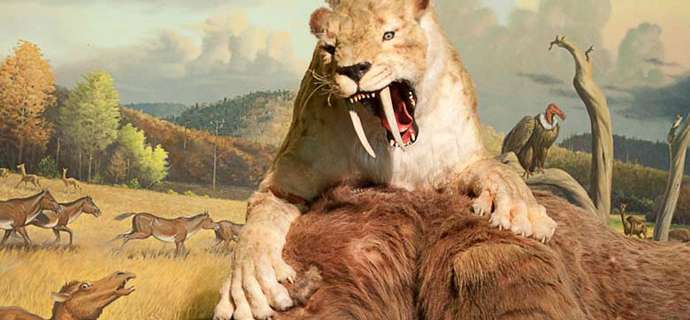 Is a saber-tooth cat’s roar worse than it’s bite?
